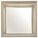 Homelegance Furniture Youth Loudon Mirror in Champagne Metallic B1515-6 image